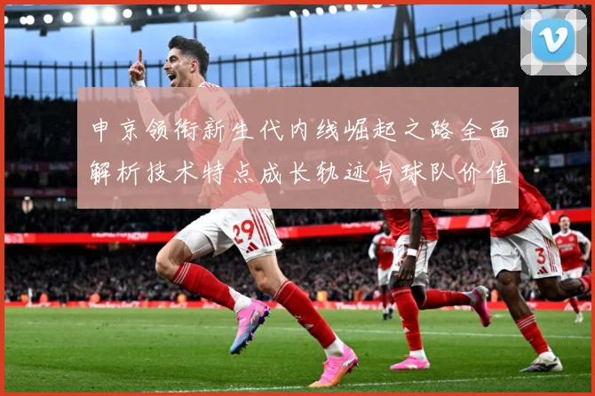申京领衔新生代内线崛起之路全面解析技术特点成长轨迹与球队价值：最新赛事动态与深度分析